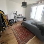 Chambre dans magnifique appartement villejuif